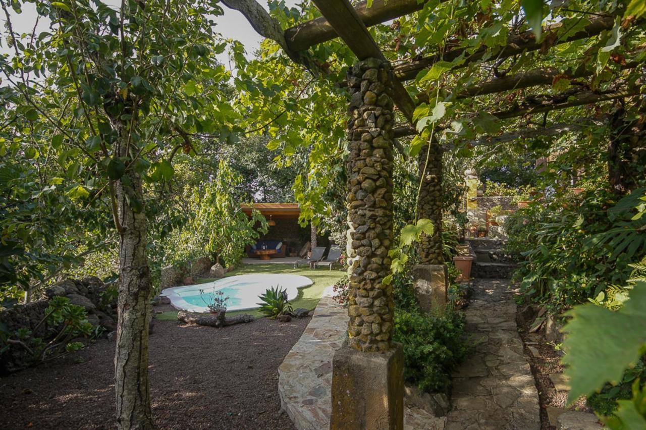 Villa Los Matos Pool And Garden Valleseco Dış mekan fotoğraf