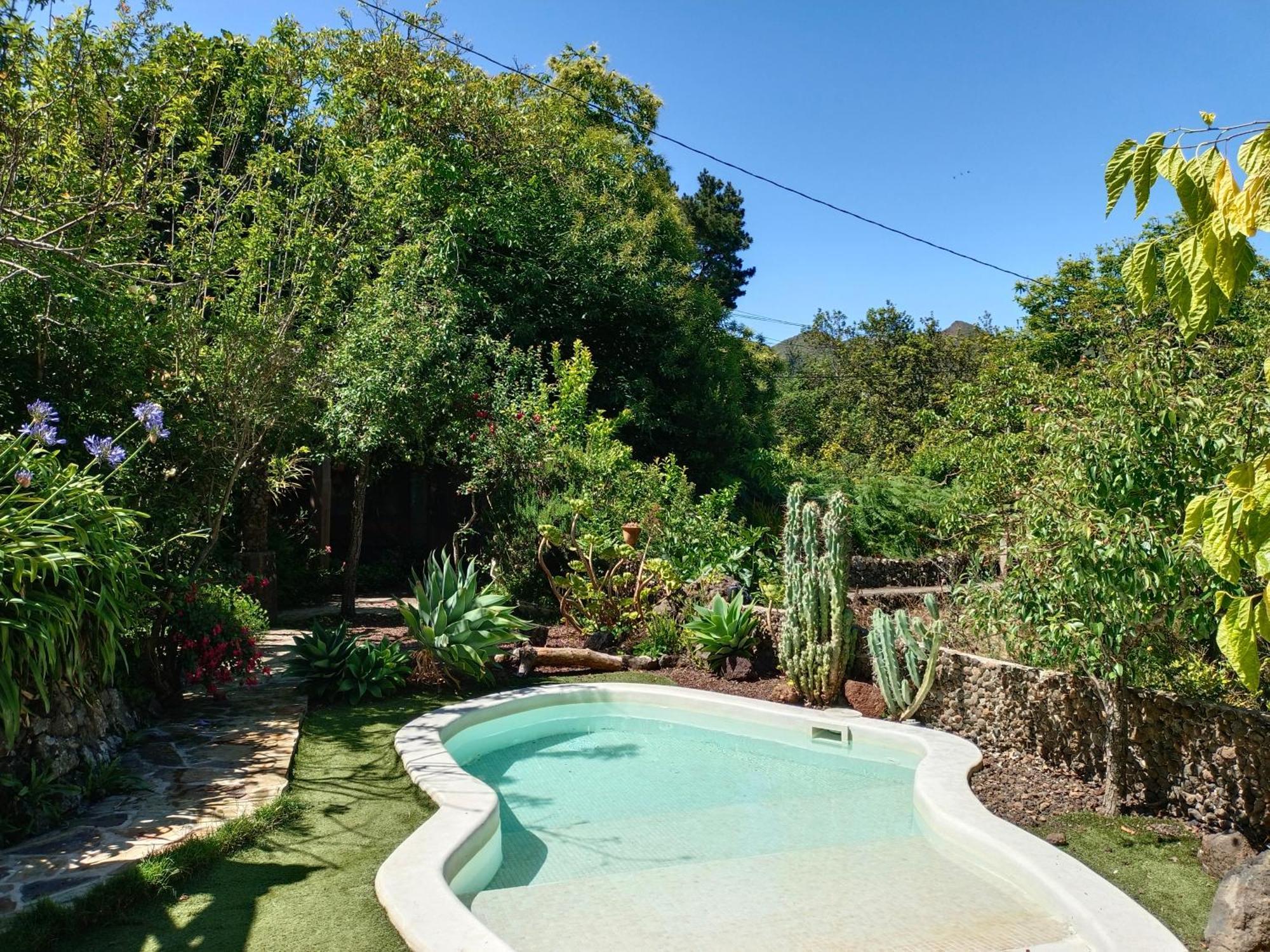 Villa Los Matos Pool And Garden Valleseco Dış mekan fotoğraf