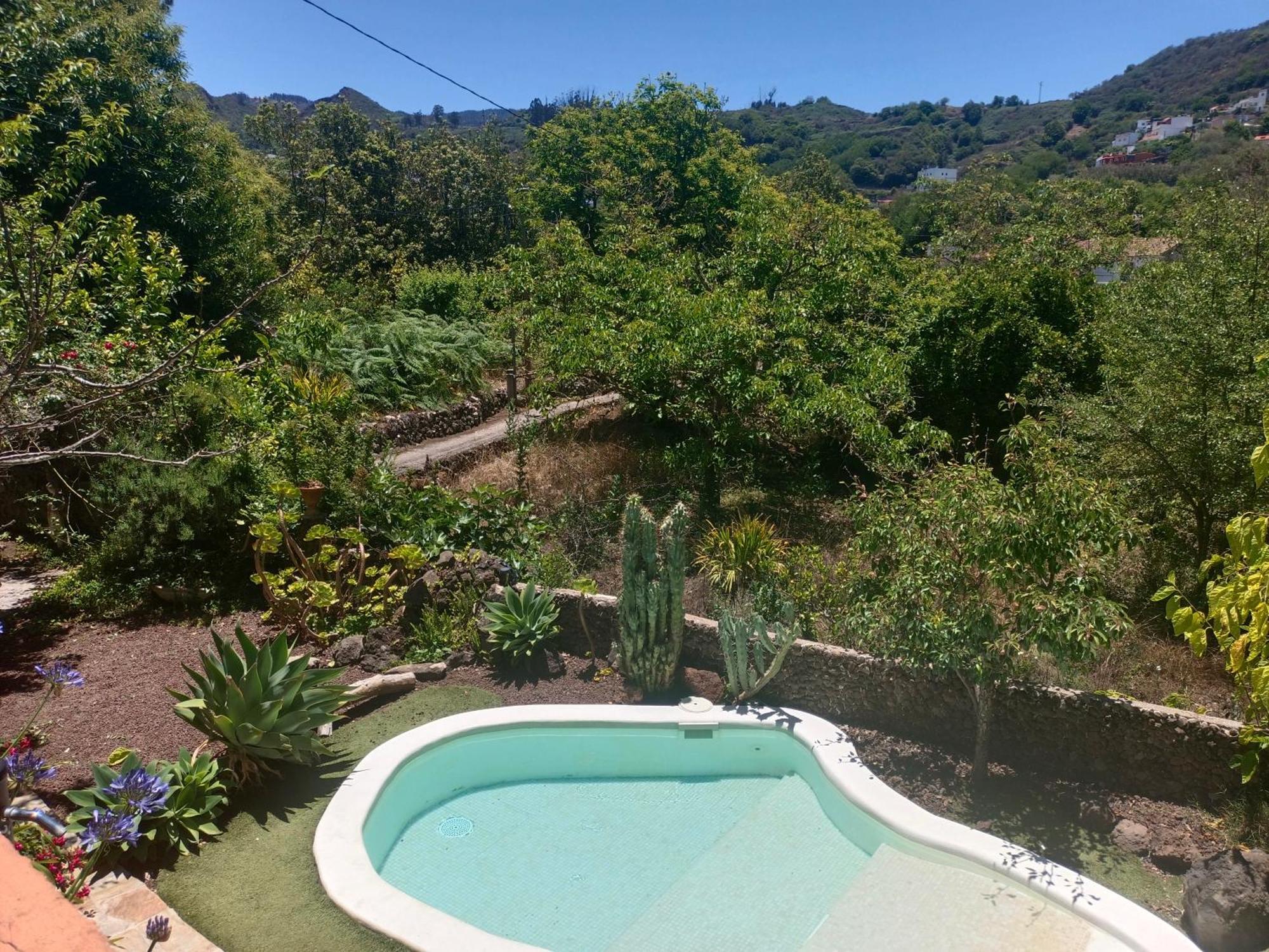 Villa Los Matos Pool And Garden Valleseco Dış mekan fotoğraf